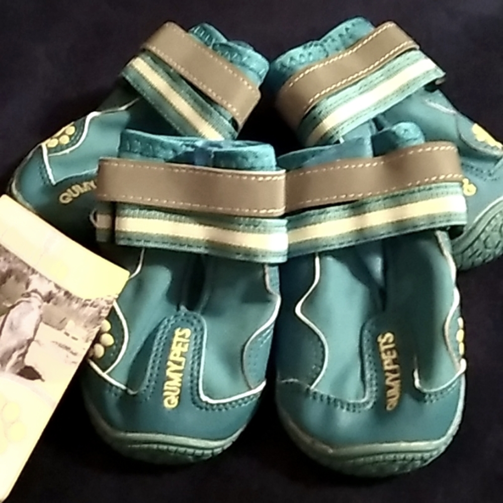 Dog shoes